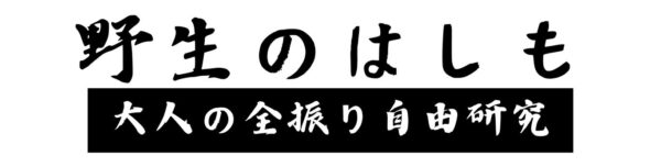 野生のはしも